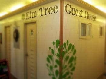 Elm Tree Guest House Myeongdong Elm Tree Guest House Myeongdong