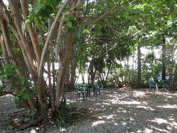 Ed & Ellens Lodging Key largo1