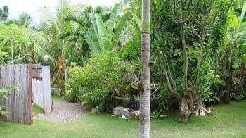 Alumbung Tropical Living Alumbung Tropical Living