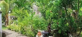 Alumbung Tropical Living Alumbung Tropical Living