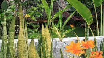 Alumbung Tropical Living Alumbung Tropical Living
