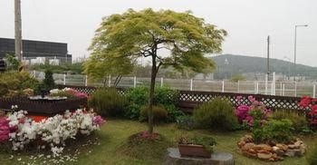 Ayami Guest house1