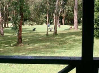 Blue Lake Holiday Park - LOT 1000