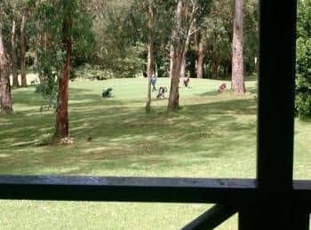 Blue Lake Holiday Park - LOT 100 Blue Lake Holiday Park - LOT 100
