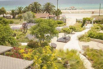 Ammouda Villas4