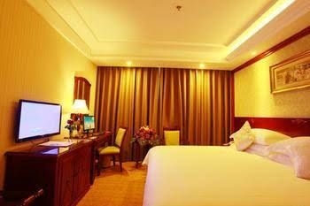 Vienna Hotel3