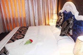 Tangfeng Art Hotel Shenyang North Railway Station Tangfeng Art Hotel Shenyang North Railway Station