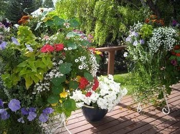 Highwood Bed and Breakfast0