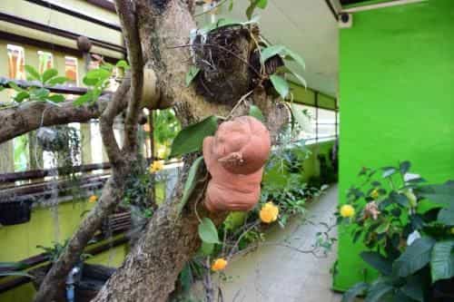 บ้านบารมี บ้านบารมี