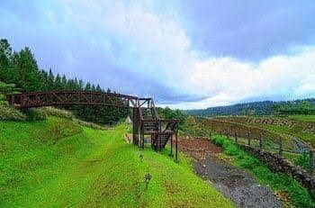 Dahilayan Forest Park Resort Dahilayan Forest Park Resort