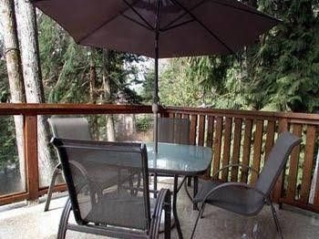 The Tree House Cottage0