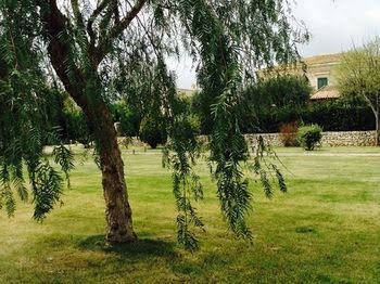 Villa & Masseria3