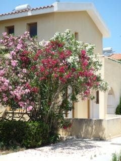 Natura Beach Hotel And Villas1