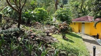 Tifakara1