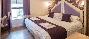 Orchid Suite2