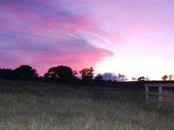 The Shepherds Hut The Shepherds Hut
