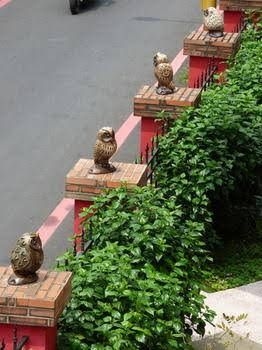 Owl Castle Bed and Breakfast2