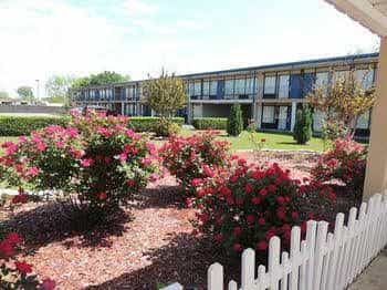 Magnolia Inn