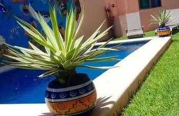 Maya Playa2