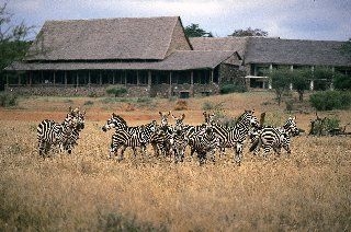 Kilaguni Serena Safari Lodge0