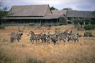 Kilaguni Serena Safari Lodge Kilaguni Serena Safari Lodge