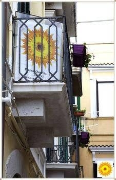 B&B Terra del Sole1