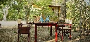Wild Trails Yala3