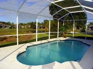 Universal Vacation Homes New Port Richey4