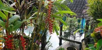 Capung Sakti Villas Capung Sakti Villas