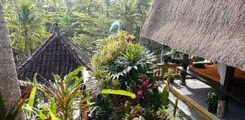 Capung Sakti Villas Capung Sakti Villas