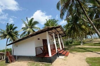 Darwins Beach Resort3