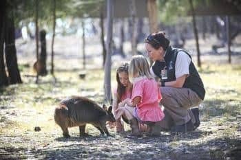 Billabong Camp, Taronga Western Plains Zoo Billabong Camp, Taronga Western Plains Zoo