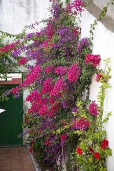 Rustic Med Casa Llorens Rustic Med Casa Llorens