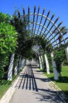 TT Hotels Tropical
