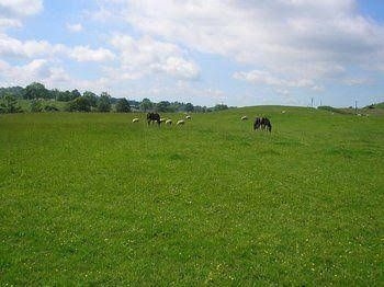 Baron House Bed & Breakfast2