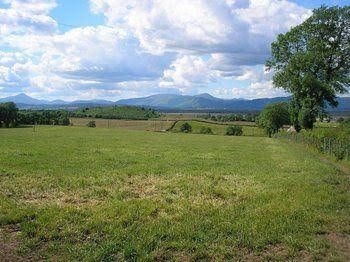 Baron House Bed & Breakfast1