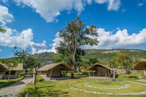 Eco Safari Tent Cluster
