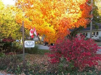 627 On King Bed and Breakfast4
