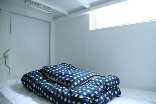 Bunk Bed in Mixed Dormitory Room