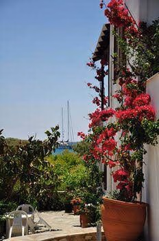 Michalis Apartments4