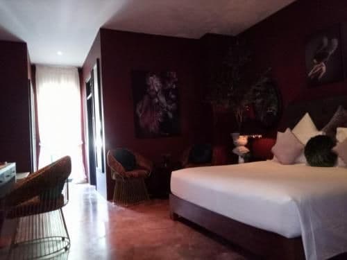 Deluxe Double or Twin Room
