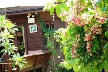 บ้านใบตาล รีสอร์ท บ้านใบตาล รีสอร์ท