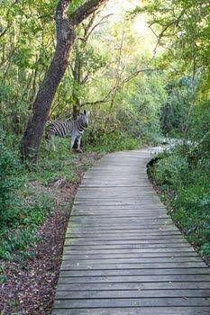 Nibela Lake Lodge0