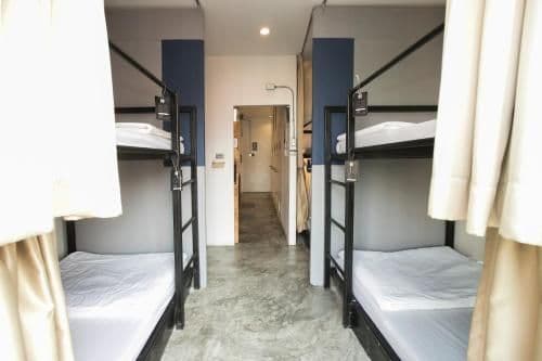 Bunk Bed in 6-Bed Mixed Dormitory Room( D )