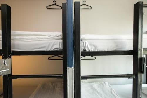 Bunk Bed in 6-Bed Mixed Dormitory Room( D )