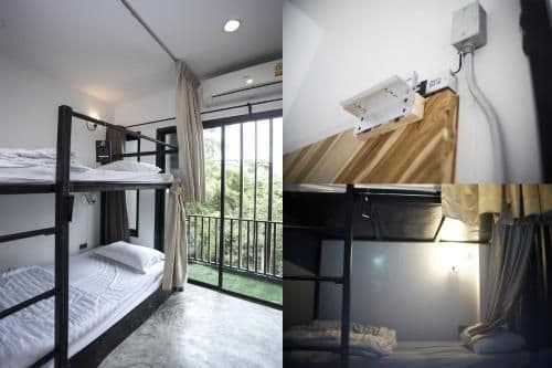 Bunk Bed in 6-Bed Mixed Dormitory Room( D )
