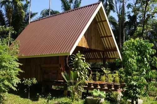 เขาสก จังเกิล รีสอร์ท (Khao Sok Jungle Resort)0