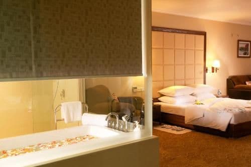 Deluxe Double or Twin Room with Sea View