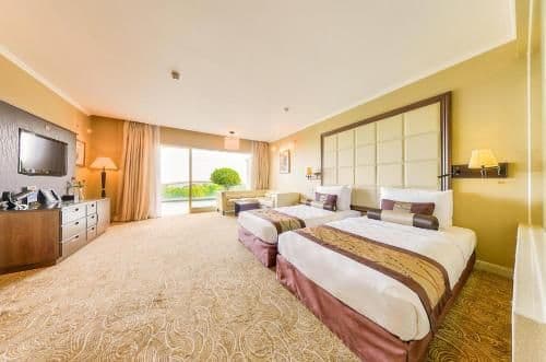 Family Suite