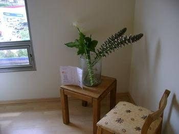 Hotel Plaza Zacatecas2